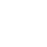 Euro Icon